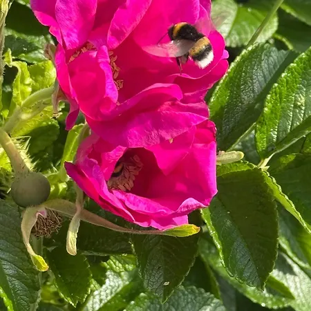 House In بيت للعطل *