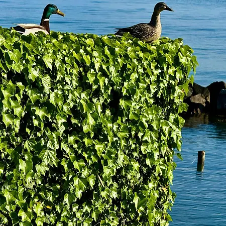 House In بيت للعطل