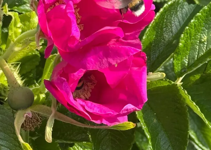 House In Hébergement de vacances *