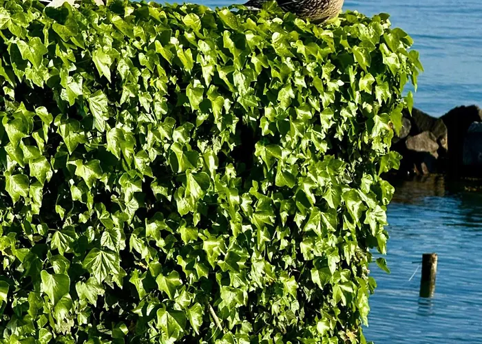 House In Hébergement de vacances